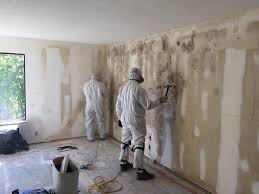 Best Attic Mold Removal  in East Lansdowne, PA